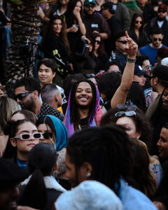 Crowd